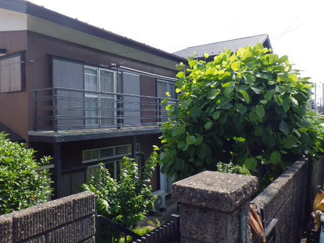庭木の剪定1（Before）