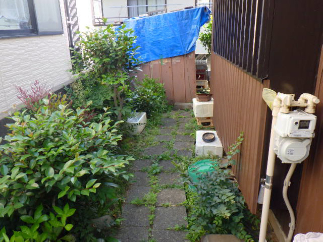草抜き1（Before）