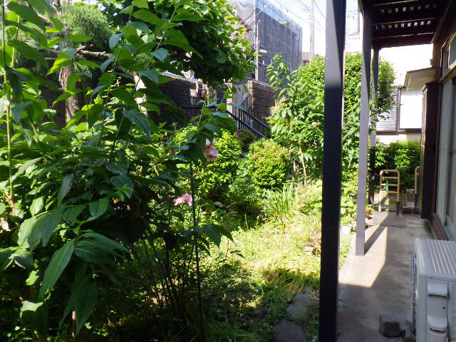 草刈り1（Before）