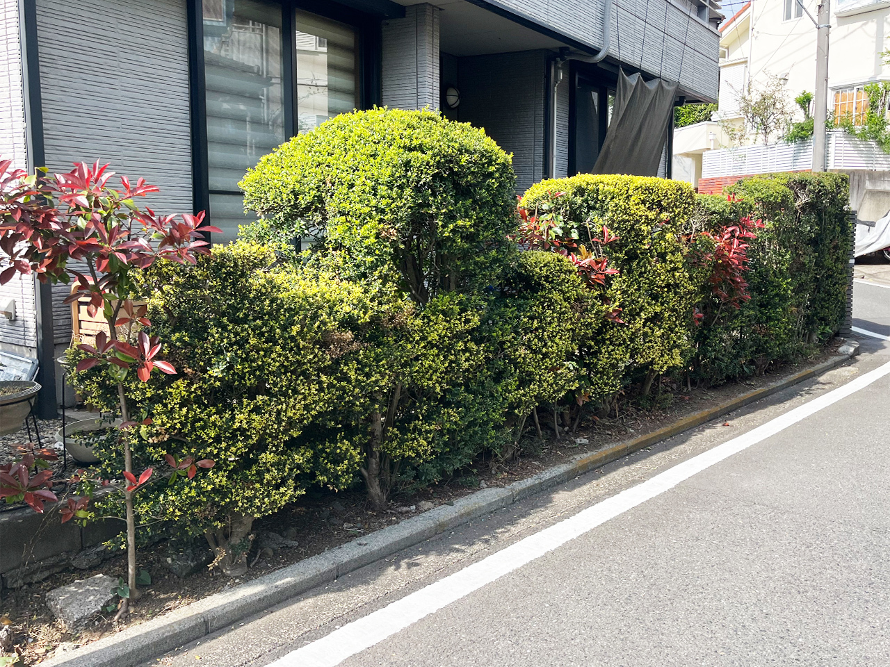 板塀施工前